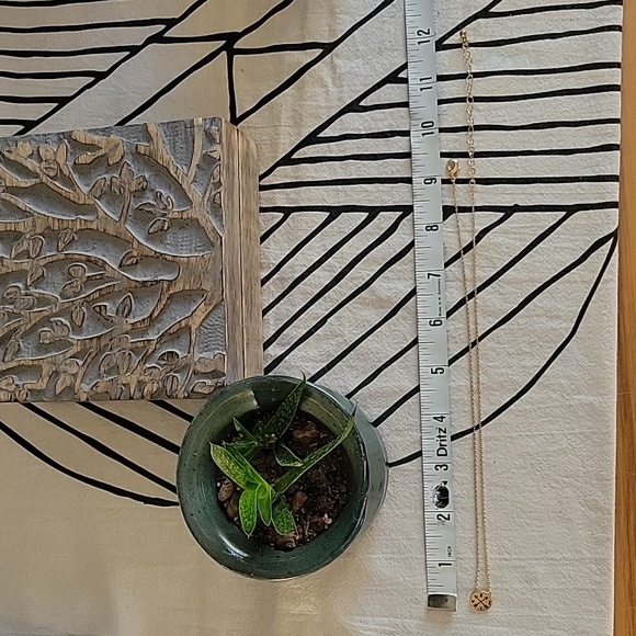 Compass Necklace - Picture 7 of 7